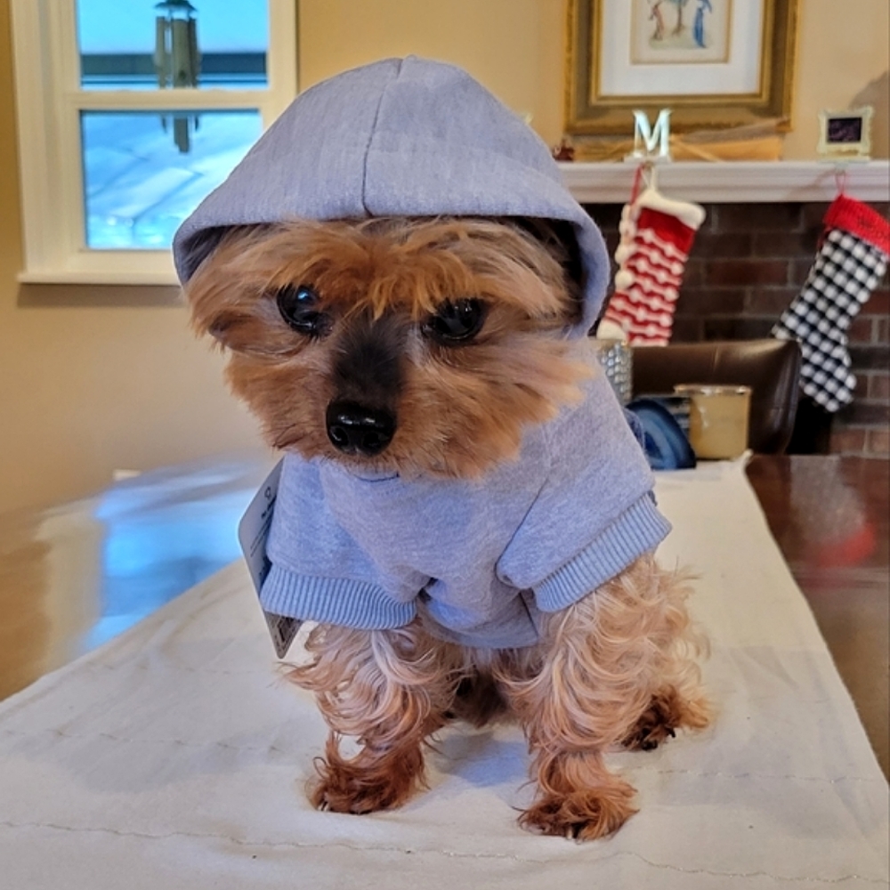 ❤️Host Pick!❤️ Fleece Lined Dog Hoodie XS - Picture 2 of 15